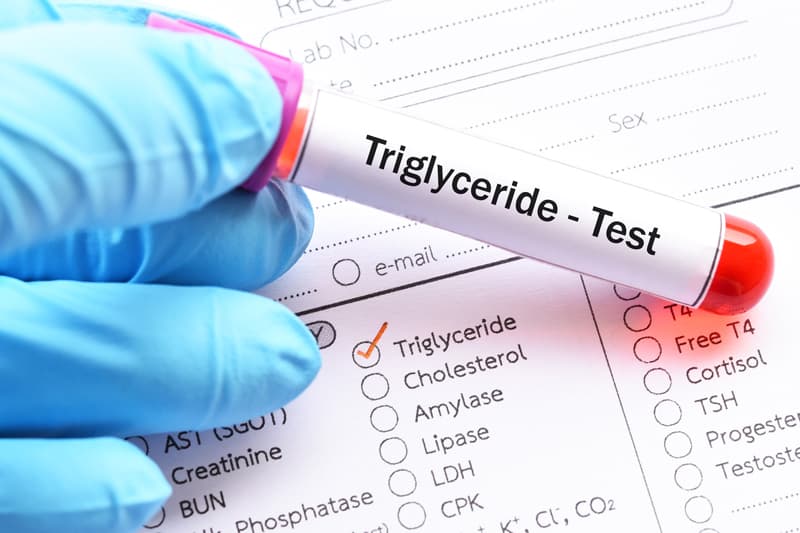 Dietas terapéuticas en A Coruña para bajar triglicéridos